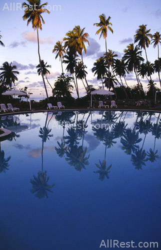 Alphonse Island Resort Deluxe 26